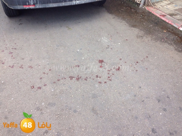 ta3n shejar 7sanbek (3).JPG